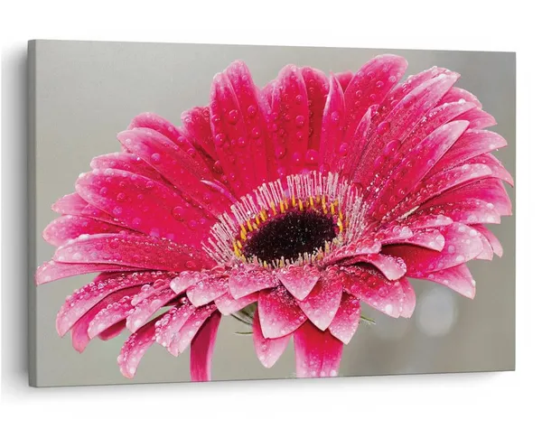 Multicolor_16_X_24_Inch,_Pine_Wood_Framed_Canvas_Paintings_|_For_Home_Decor,_Ready_To_Wall_Hanging,_Premium_Painting_|_For_|_Bedroom,_Living_Room,_Office_Wall_Decoration_|_Wall_Art_Painting,_Ct2244