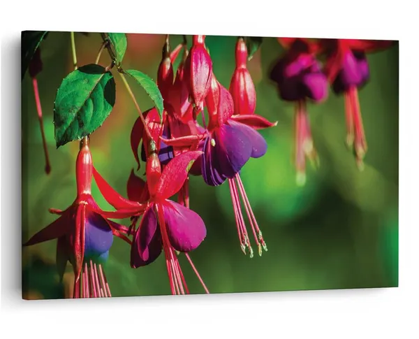 Multicolor_16_X_24_Inch,_Pine_Wood_Framed_Canvas_Paintings_|_For_Home_Decor,_Ready_To_Wall_Hanging,_Premium_Painting_|_For_|_Bedroom,_Living_Room,_Office_Wall_Decoration_|_Wall_Art_Painting,_Ct2246