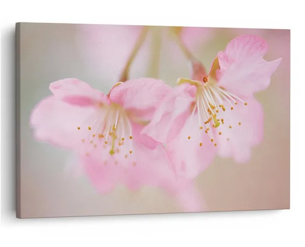 Multicolor_16_X_24_Inch,_Pine_Wood_Framed_Canvas_Paintings_|_For_Home_Decor,_Ready_To_Wall_Hanging,_Premium_Painting_|_For_|_Bedroom,_Living_Room,_Office_Wall_Decoration_|_Wall_Art_Painting,_Ct2247