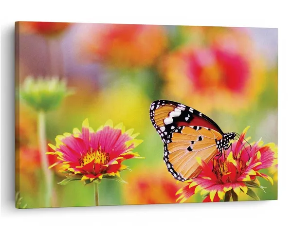 Multicolor_16_X_24_Inch,_Pine_Wood_Framed_Canvas_Paintings_|_For_Home_Decor,_Ready_To_Wall_Hanging,_Premium_Painting_|_For_|_Bedroom,_Living_Room,_Office_Wall_Decoration_|_Wall_Art_Painting,_Ct2248