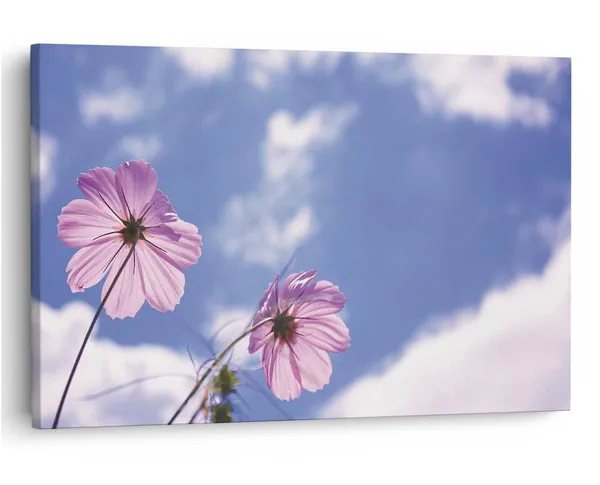 Multicolor_16_X_24_Inch,_Pine_Wood_Framed_Canvas_Paintings_|_For_Home_Decor,_Ready_To_Wall_Hanging,_Premium_Painting_|_For_|_Bedroom,_Living_Room,_Office_Wall_Decoration_|_Wall_Art_Painting,_Ct2249