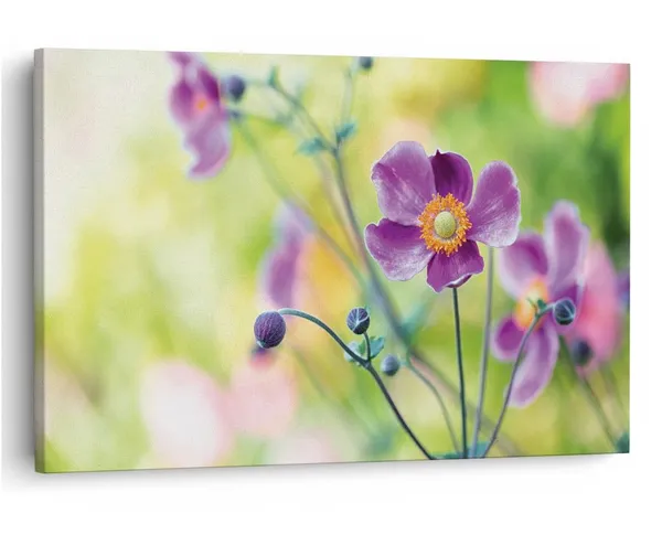 Multicolor_16_X_24_Inch,_Pine_Wood_Framed_Canvas_Paintings_|_For_Home_Decor,_Ready_To_Wall_Hanging,_Premium_Painting_|_For_|_Bedroom,_Living_Room,_Office_Wall_Decoration_|_Wall_Art_Painting,_Ct2250
