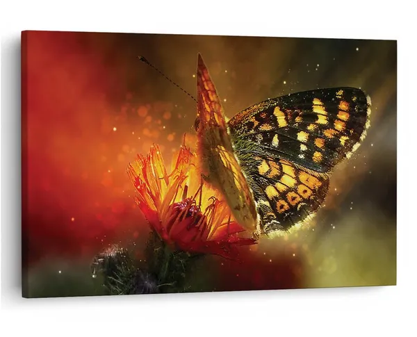 Multicolor_16_X_24_Inch,_Pine_Wood_Framed_Canvas_Paintings_|_For_Home_Decor,_Ready_To_Wall_Hanging,_Premium_Painting_|_For_|_Bedroom,_Living_Room,_Office_Wall_Decoration_|_Wall_Art_Painting,_Ct2252