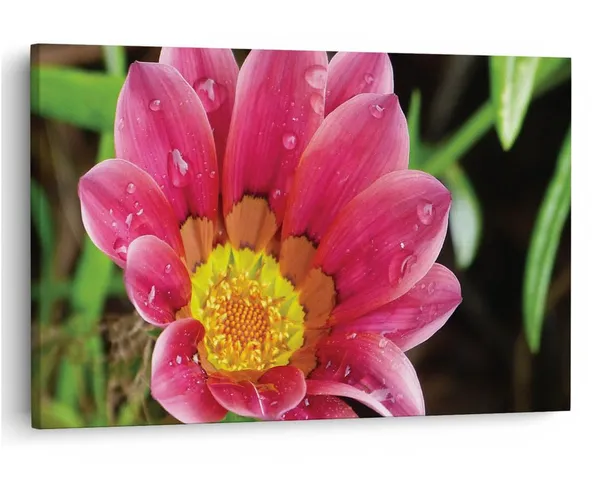 Multicolor_16_X_24_Inch,_Pine_Wood_Framed_Canvas_Paintings_|_For_Home_Decor,_Ready_To_Wall_Hanging,_Premium_Painting_|_For_|_Bedroom,_Living_Room,_Office_Wall_Decoration_|_Wall_Art_Painting,_Ct2253