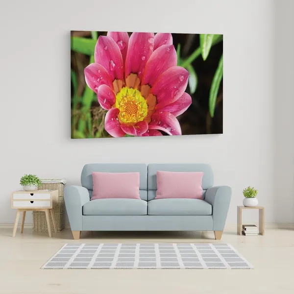 Multicolor_16_X_24_Inch,_Pine_Wood_Framed_Canvas_Paintings_|_For_Home_Decor,_Ready_To_Wall_Hanging,_Premium_Painting_|_For_|_Bedroom,_Living_Room,_Office_Wall_Decoration_|_Wall_Art_Painting,_Ct2253