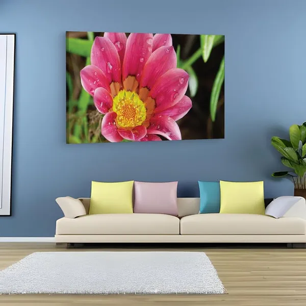 Multicolor_16_X_24_Inch,_Pine_Wood_Framed_Canvas_Paintings_|_For_Home_Decor,_Ready_To_Wall_Hanging,_Premium_Painting_|_For_|_Bedroom,_Living_Room,_Office_Wall_Decoration_|_Wall_Art_Painting,_Ct2253