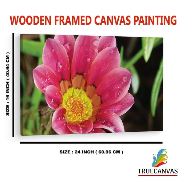 Multicolor_16_X_24_Inch,_Pine_Wood_Framed_Canvas_Paintings_|_For_Home_Decor,_Ready_To_Wall_Hanging,_Premium_Painting_|_For_|_Bedroom,_Living_Room,_Office_Wall_Decoration_|_Wall_Art_Painting,_Ct2253