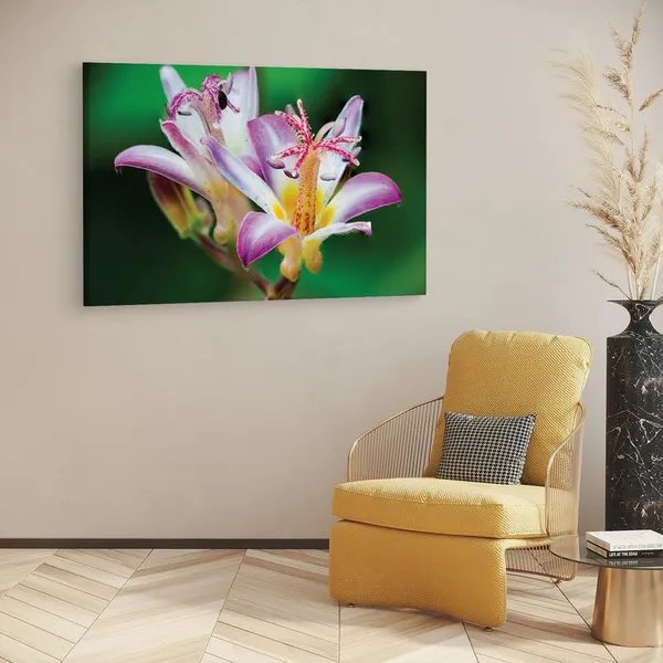 Multicolor_16_X_24_Inch,_Pine_Wood_Framed_Canvas_Paintings_|_For_Home_Decor,_Ready_To_Wall_Hanging,_Premium_Painting_|_For_|_Bedroom,_Living_Room,_Office_Wall_Decoration_|_Wall_Art_Painting,_Ct2255