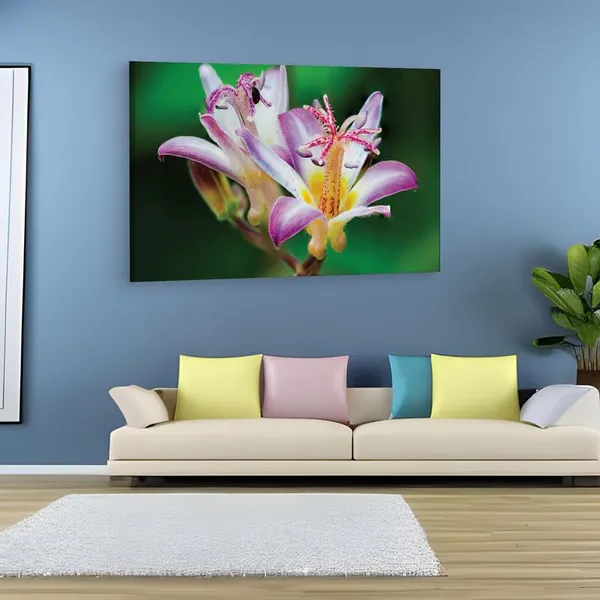 Multicolor_16_X_24_Inch,_Pine_Wood_Framed_Canvas_Paintings_|_For_Home_Decor,_Ready_To_Wall_Hanging,_Premium_Painting_|_For_|_Bedroom,_Living_Room,_Office_Wall_Decoration_|_Wall_Art_Painting,_Ct2255
