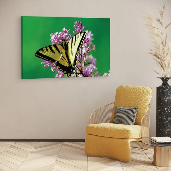 Multicolor_16_X_24_Inch,_Pine_Wood_Framed_Canvas_Paintings_|_For_Home_Decor,_Ready_To_Wall_Hanging,_Premium_Painting_|_For_|_Bedroom,_Living_Room,_Office_Wall_Decoration_|_Wall_Art_Painting,_Ct2256