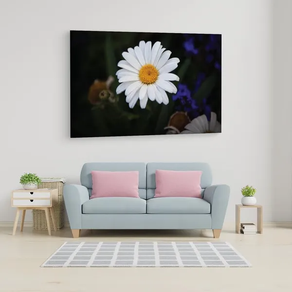 Multicolor_16_X_24_Inch,_Pine_Wood_Framed_Canvas_Paintings_|_For_Home_Decor,_Ready_To_Wall_Hanging,_Premium_Painting_|_For_|_Bedroom,_Living_Room,_Office_Wall_Decoration_|_Wall_Art_Painting,_Ct2259