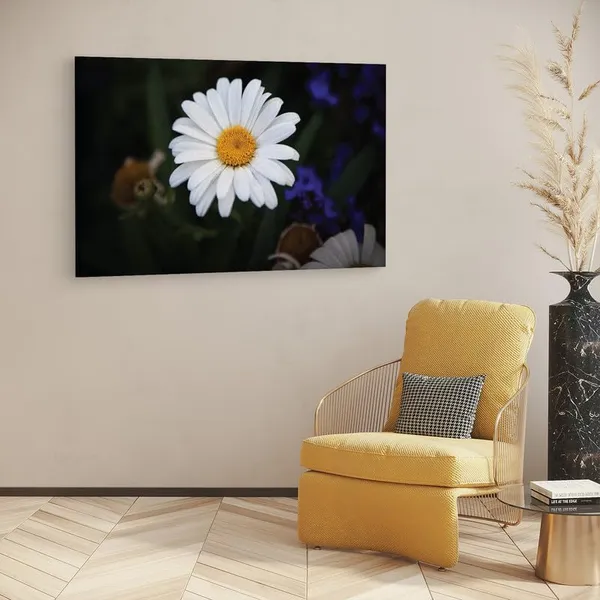 Multicolor_16_X_24_Inch,_Pine_Wood_Framed_Canvas_Paintings_|_For_Home_Decor,_Ready_To_Wall_Hanging,_Premium_Painting_|_For_|_Bedroom,_Living_Room,_Office_Wall_Decoration_|_Wall_Art_Painting,_Ct2259
