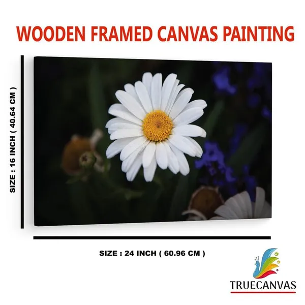 Multicolor_16_X_24_Inch,_Pine_Wood_Framed_Canvas_Paintings_|_For_Home_Decor,_Ready_To_Wall_Hanging,_Premium_Painting_|_For_|_Bedroom,_Living_Room,_Office_Wall_Decoration_|_Wall_Art_Painting,_Ct2259