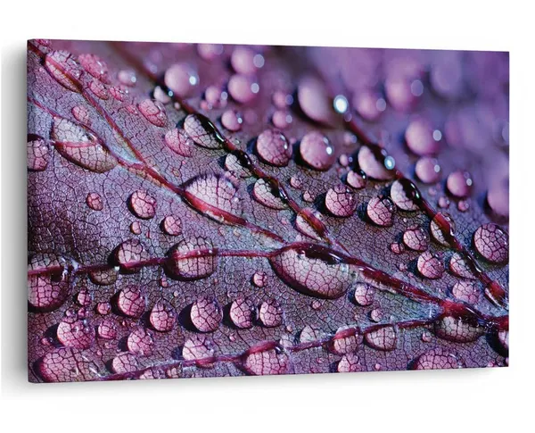 Multicolor_16_X_24_Inch,_Pine_Wood_Framed_Canvas_Paintings_|_For_Home_Decor,_Ready_To_Wall_Hanging,_Premium_Painting_|_For_|_Bedroom,_Living_Room,_Office_Wall_Decoration_|_Wall_Art_Painting,_Ct2260