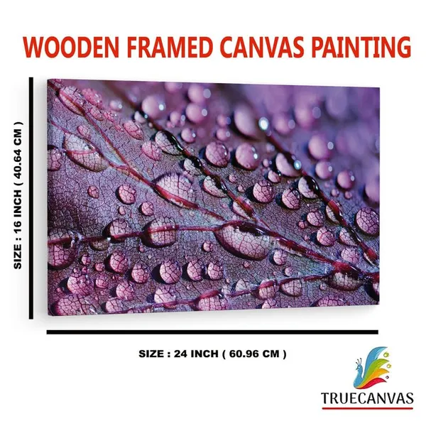 Multicolor_16_X_24_Inch,_Pine_Wood_Framed_Canvas_Paintings_|_For_Home_Decor,_Ready_To_Wall_Hanging,_Premium_Painting_|_For_|_Bedroom,_Living_Room,_Office_Wall_Decoration_|_Wall_Art_Painting,_Ct2260