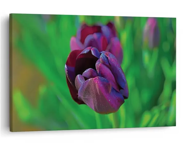 Multicolor_16_X_24_Inch,_Pine_Wood_Framed_Canvas_Paintings_|_For_Home_Decor,_Ready_To_Wall_Hanging,_Premium_Painting_|_For_|_Bedroom,_Living_Room,_Office_Wall_Decoration_|_Wall_Art_Painting,_Ct2262