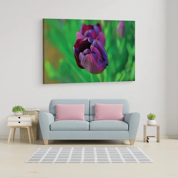 Multicolor_16_X_24_Inch,_Pine_Wood_Framed_Canvas_Paintings_|_For_Home_Decor,_Ready_To_Wall_Hanging,_Premium_Painting_|_For_|_Bedroom,_Living_Room,_Office_Wall_Decoration_|_Wall_Art_Painting,_Ct2262