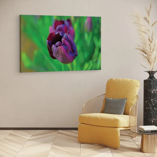 Multicolor_16_X_24_Inch,_Pine_Wood_Framed_Canvas_Paintings_|_For_Home_Decor,_Ready_To_Wall_Hanging,_Premium_Painting_|_For_|_Bedroom,_Living_Room,_Office_Wall_Decoration_|_Wall_Art_Painting,_Ct2262