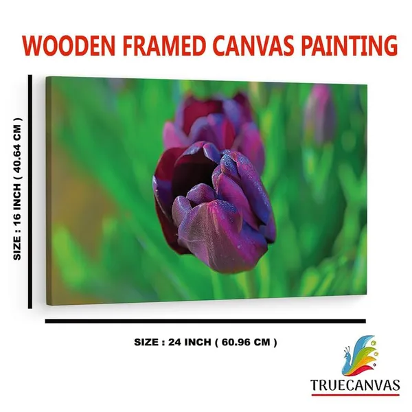 Multicolor_16_X_24_Inch,_Pine_Wood_Framed_Canvas_Paintings_|_For_Home_Decor,_Ready_To_Wall_Hanging,_Premium_Painting_|_For_|_Bedroom,_Living_Room,_Office_Wall_Decoration_|_Wall_Art_Painting,_Ct2262