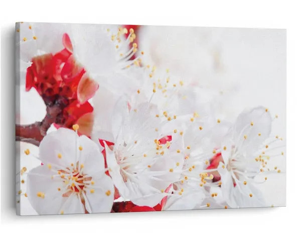 Multicolor_16_X_24_Inch,_Pine_Wood_Framed_Canvas_Paintings_|_For_Home_Decor,_Ready_To_Wall_Hanging,_Premium_Painting_|_For_|_Bedroom,_Living_Room,_Office_Wall_Decoration_|_Wall_Art_Painting,_Ct2263