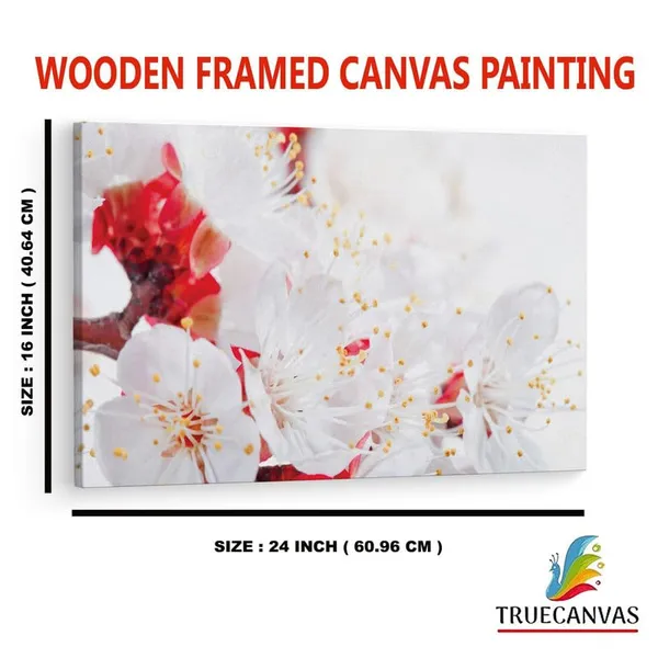 Multicolor_16_X_24_Inch,_Pine_Wood_Framed_Canvas_Paintings_|_For_Home_Decor,_Ready_To_Wall_Hanging,_Premium_Painting_|_For_|_Bedroom,_Living_Room,_Office_Wall_Decoration_|_Wall_Art_Painting,_Ct2263