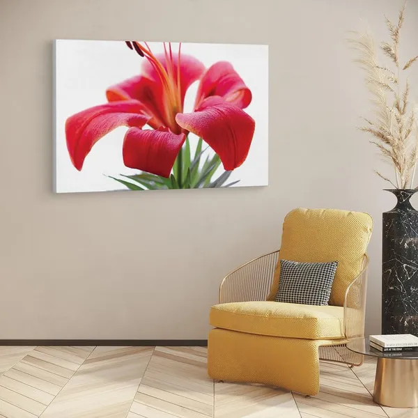 Multicolor_16_X_24_Inch,_Pine_Wood_Framed_Canvas_Paintings_|_For_Home_Decor,_Ready_To_Wall_Hanging,_Premium_Painting_|_For_|_Bedroom,_Living_Room,_Office_Wall_Decoration_|_Wall_Art_Painting,_Ct2264