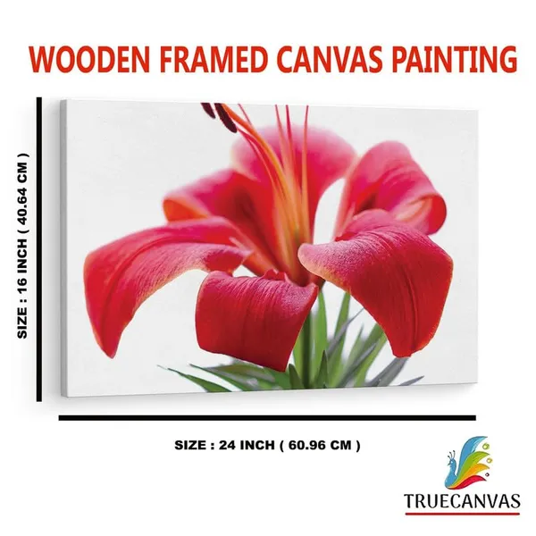 Multicolor_16_X_24_Inch,_Pine_Wood_Framed_Canvas_Paintings_|_For_Home_Decor,_Ready_To_Wall_Hanging,_Premium_Painting_|_For_|_Bedroom,_Living_Room,_Office_Wall_Decoration_|_Wall_Art_Painting,_Ct2264