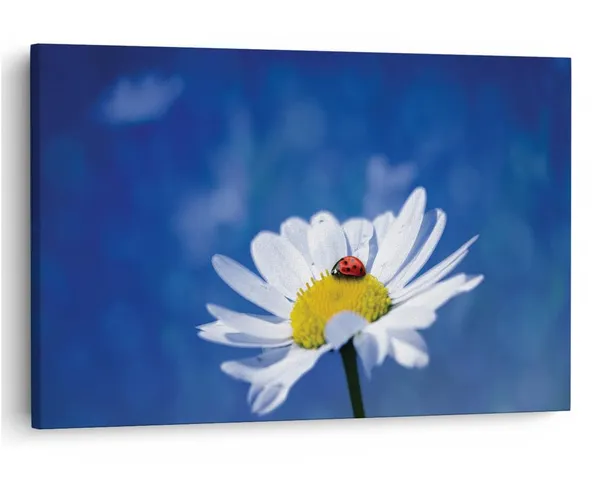Multicolor_16_X_24_Inch,_Pine_Wood_Framed_Canvas_Paintings_|_For_Home_Decor,_Ready_To_Wall_Hanging,_Premium_Painting_|_For_|_Bedroom,_Living_Room,_Office_Wall_Decoration_|_Wall_Art_Painting,_Ct2265