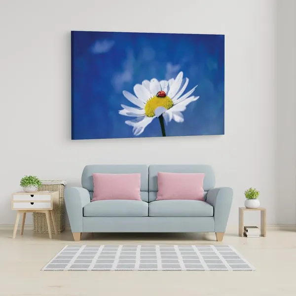 Multicolor_16_X_24_Inch,_Pine_Wood_Framed_Canvas_Paintings_|_For_Home_Decor,_Ready_To_Wall_Hanging,_Premium_Painting_|_For_|_Bedroom,_Living_Room,_Office_Wall_Decoration_|_Wall_Art_Painting,_Ct2265