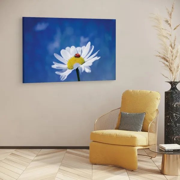 Multicolor_16_X_24_Inch,_Pine_Wood_Framed_Canvas_Paintings_|_For_Home_Decor,_Ready_To_Wall_Hanging,_Premium_Painting_|_For_|_Bedroom,_Living_Room,_Office_Wall_Decoration_|_Wall_Art_Painting,_Ct2265