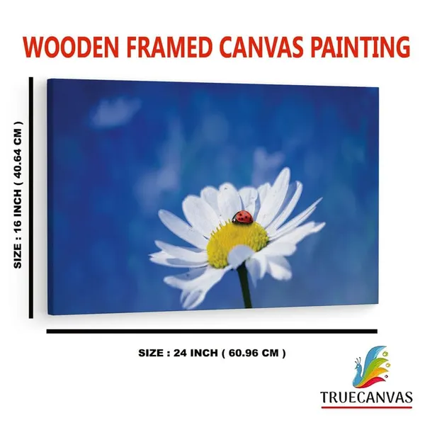 Multicolor_16_X_24_Inch,_Pine_Wood_Framed_Canvas_Paintings_|_For_Home_Decor,_Ready_To_Wall_Hanging,_Premium_Painting_|_For_|_Bedroom,_Living_Room,_Office_Wall_Decoration_|_Wall_Art_Painting,_Ct2265