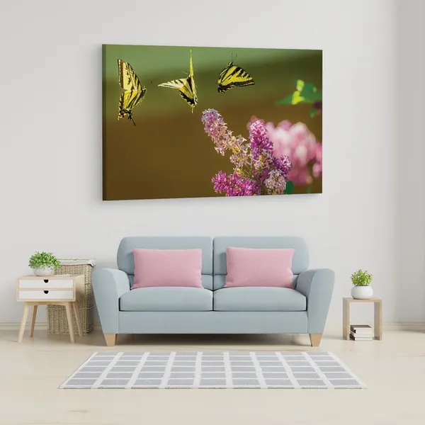Multicolor_16_X_24_Inch,_Pine_Wood_Framed_Canvas_Paintings_|_For_Home_Decor,_Ready_To_Wall_Hanging,_Premium_Painting_|_For_|_Bedroom,_Living_Room,_Office_Wall_Decoration_|_Wall_Art_Painting,_Ct2266