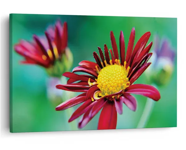 Multicolor_16_X_24_Inch,_Pine_Wood_Framed_Canvas_Paintings_|_For_Home_Decor,_Ready_To_Wall_Hanging,_Premium_Painting_|_For_|_Bedroom,_Living_Room,_Office_Wall_Decoration_|_Wall_Art_Painting,_Ct2267