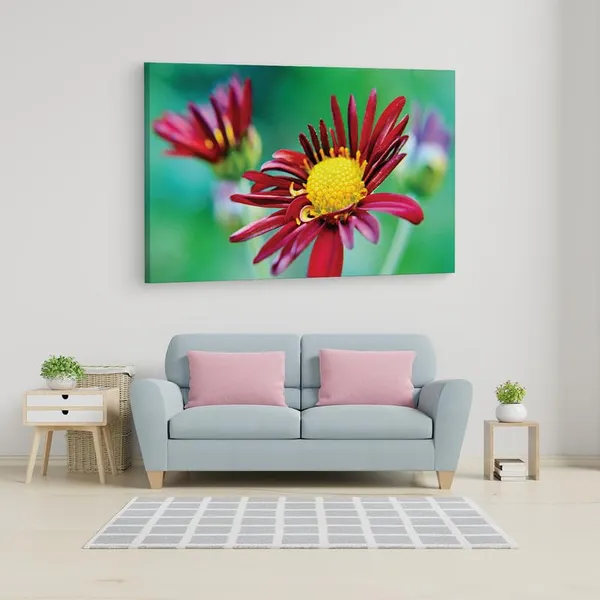 Multicolor_16_X_24_Inch,_Pine_Wood_Framed_Canvas_Paintings_|_For_Home_Decor,_Ready_To_Wall_Hanging,_Premium_Painting_|_For_|_Bedroom,_Living_Room,_Office_Wall_Decoration_|_Wall_Art_Painting,_Ct2267
