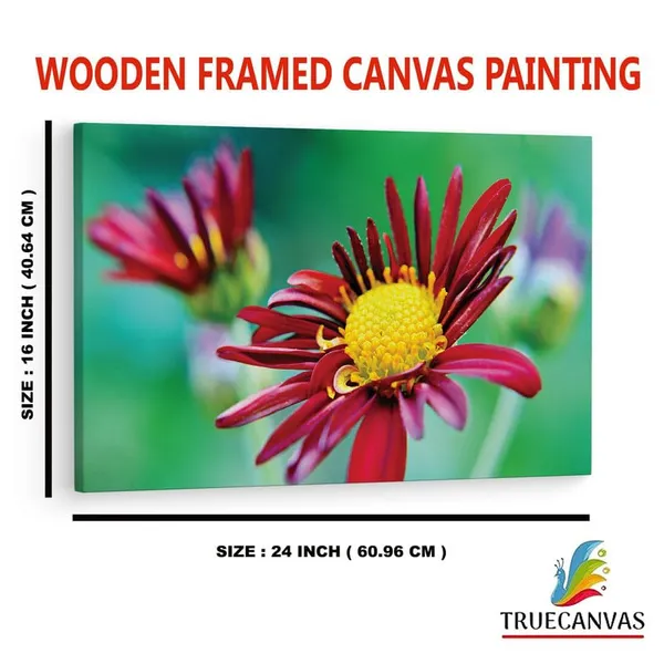 Multicolor_16_X_24_Inch,_Pine_Wood_Framed_Canvas_Paintings_|_For_Home_Decor,_Ready_To_Wall_Hanging,_Premium_Painting_|_For_|_Bedroom,_Living_Room,_Office_Wall_Decoration_|_Wall_Art_Painting,_Ct2267