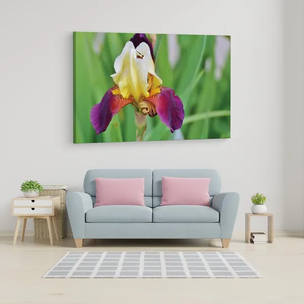 Multicolor_16_X_24_Inch,_Pine_Wood_Framed_Canvas_Paintings_|_For_Home_Decor,_Ready_To_Wall_Hanging,_Premium_Painting_|_For_|_Bedroom,_Living_Room,_Office_Wall_Decoration_|_Wall_Art_Painting,_Ct2268