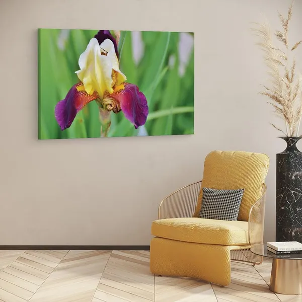 Multicolor_16_X_24_Inch,_Pine_Wood_Framed_Canvas_Paintings_|_For_Home_Decor,_Ready_To_Wall_Hanging,_Premium_Painting_|_For_|_Bedroom,_Living_Room,_Office_Wall_Decoration_|_Wall_Art_Painting,_Ct2268