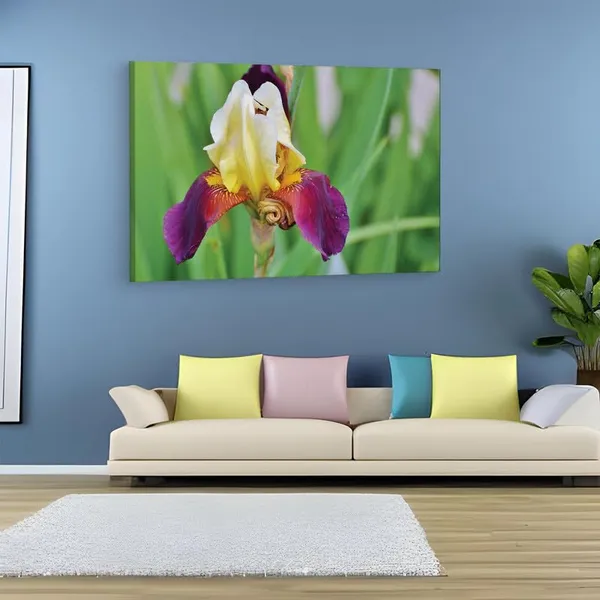 Multicolor_16_X_24_Inch,_Pine_Wood_Framed_Canvas_Paintings_|_For_Home_Decor,_Ready_To_Wall_Hanging,_Premium_Painting_|_For_|_Bedroom,_Living_Room,_Office_Wall_Decoration_|_Wall_Art_Painting,_Ct2268