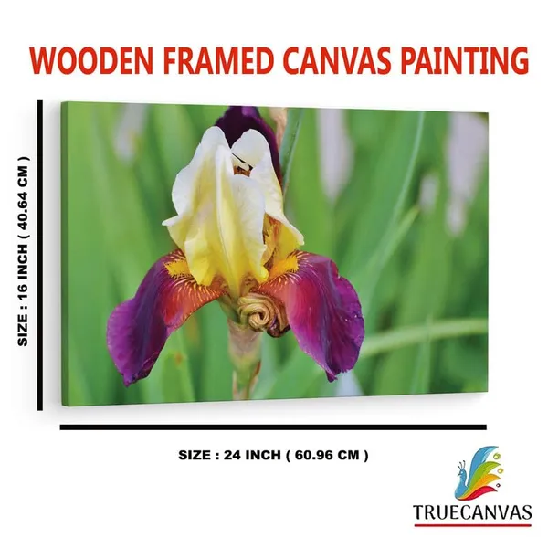 Multicolor_16_X_24_Inch,_Pine_Wood_Framed_Canvas_Paintings_|_For_Home_Decor,_Ready_To_Wall_Hanging,_Premium_Painting_|_For_|_Bedroom,_Living_Room,_Office_Wall_Decoration_|_Wall_Art_Painting,_Ct2268