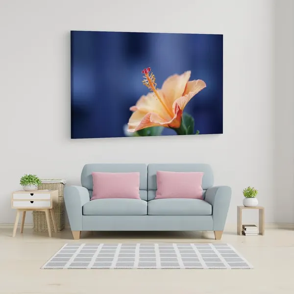 Multicolor_16_X_24_Inch,_Pine_Wood_Framed_Canvas_Paintings_|_For_Home_Decor,_Ready_To_Wall_Hanging,_Premium_Painting_|_For_|_Bedroom,_Living_Room,_Office_Wall_Decoration_|_Wall_Art_Painting,_Ct2270