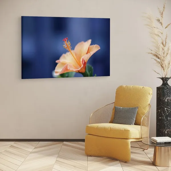 Multicolor_16_X_24_Inch,_Pine_Wood_Framed_Canvas_Paintings_|_For_Home_Decor,_Ready_To_Wall_Hanging,_Premium_Painting_|_For_|_Bedroom,_Living_Room,_Office_Wall_Decoration_|_Wall_Art_Painting,_Ct2270