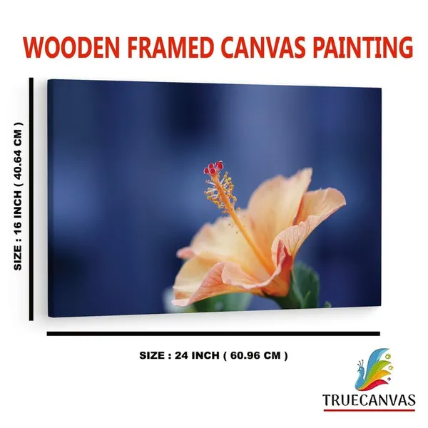 Multicolor_16_X_24_Inch,_Pine_Wood_Framed_Canvas_Paintings_|_For_Home_Decor,_Ready_To_Wall_Hanging,_Premium_Painting_|_For_|_Bedroom,_Living_Room,_Office_Wall_Decoration_|_Wall_Art_Painting,_Ct2270