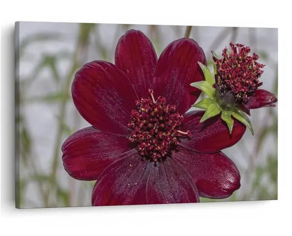 Multicolor_16_X_24_Inch,_Pine_Wood_Framed_Canvas_Paintings_|_For_Home_Decor,_Ready_To_Wall_Hanging,_Premium_Painting_|_For_|_Bedroom,_Living_Room,_Office_Wall_Decoration_|_Wall_Art_Painting,_Ct2271