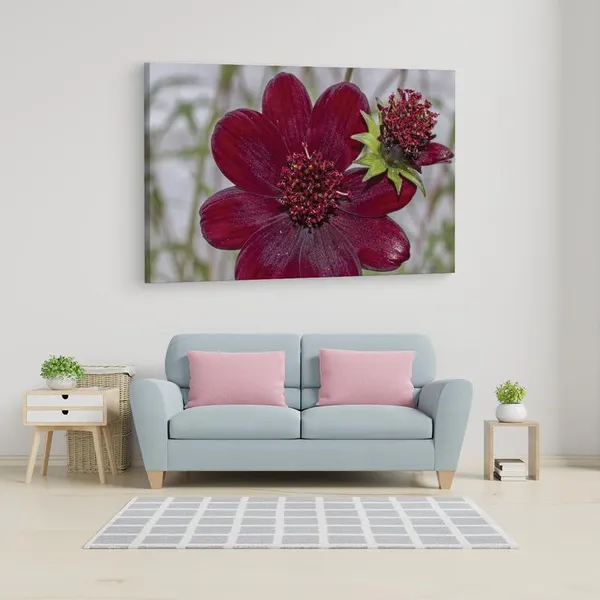 Multicolor_16_X_24_Inch,_Pine_Wood_Framed_Canvas_Paintings_|_For_Home_Decor,_Ready_To_Wall_Hanging,_Premium_Painting_|_For_|_Bedroom,_Living_Room,_Office_Wall_Decoration_|_Wall_Art_Painting,_Ct2271