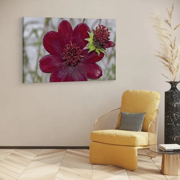 Multicolor_16_X_24_Inch,_Pine_Wood_Framed_Canvas_Paintings_|_For_Home_Decor,_Ready_To_Wall_Hanging,_Premium_Painting_|_For_|_Bedroom,_Living_Room,_Office_Wall_Decoration_|_Wall_Art_Painting,_Ct2271