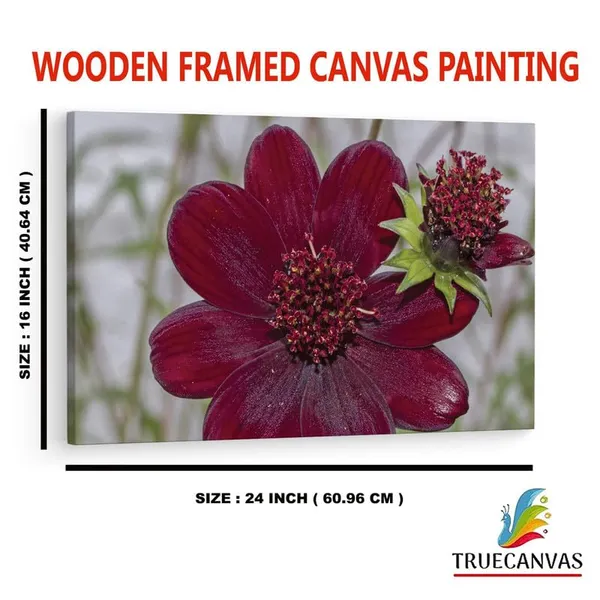 Multicolor_16_X_24_Inch,_Pine_Wood_Framed_Canvas_Paintings_|_For_Home_Decor,_Ready_To_Wall_Hanging,_Premium_Painting_|_For_|_Bedroom,_Living_Room,_Office_Wall_Decoration_|_Wall_Art_Painting,_Ct2271
