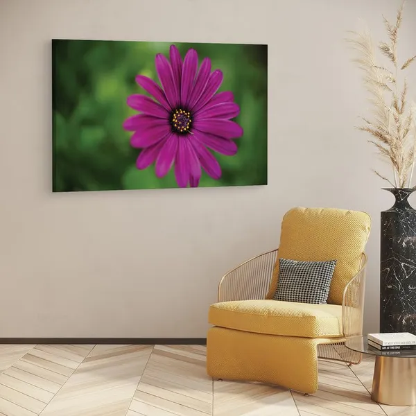 Multicolor_16_X_24_Inch,_Pine_Wood_Framed_Canvas_Paintings_|_For_Home_Decor,_Ready_To_Wall_Hanging,_Premium_Painting_|_For_|_Bedroom,_Living_Room,_Office_Wall_Decoration_|_Wall_Art_Painting,_Ct2272