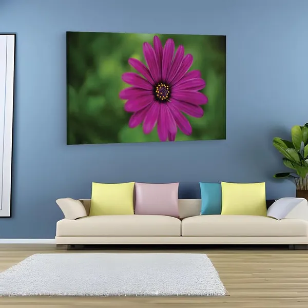 Multicolor_16_X_24_Inch,_Pine_Wood_Framed_Canvas_Paintings_|_For_Home_Decor,_Ready_To_Wall_Hanging,_Premium_Painting_|_For_|_Bedroom,_Living_Room,_Office_Wall_Decoration_|_Wall_Art_Painting,_Ct2272