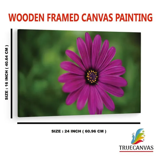 Multicolor_16_X_24_Inch,_Pine_Wood_Framed_Canvas_Paintings_|_For_Home_Decor,_Ready_To_Wall_Hanging,_Premium_Painting_|_For_|_Bedroom,_Living_Room,_Office_Wall_Decoration_|_Wall_Art_Painting,_Ct2272