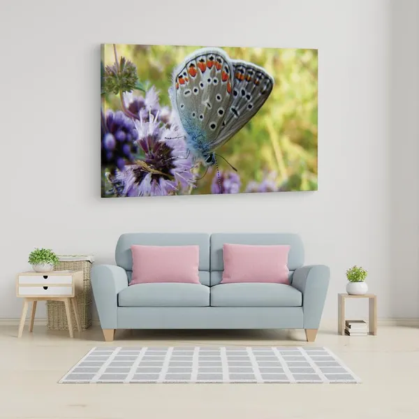 Multicolor_16_X_24_Inch,_Pine_Wood_Framed_Canvas_Paintings_|_For_Home_Decor,_Ready_To_Wall_Hanging,_Premium_Painting_|_For_|_Bedroom,_Living_Room,_Office_Wall_Decoration_|_Wall_Art_Painting,_Ct2273